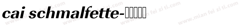 cai schmalfette字体转换
